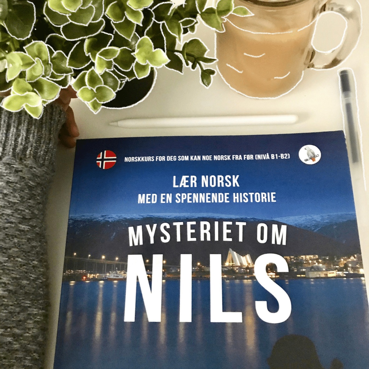 The Best Books To Learn Norwegian 2021 - She's Fluent